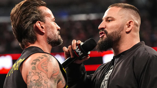 डब्ल्यूडब्ल्यूई फोटो